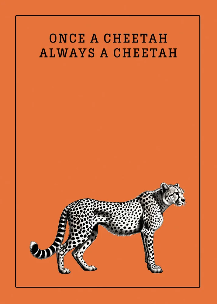 Illustration by Daniel Leo: funny cheetah with an orange background