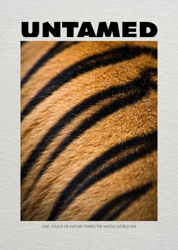 Illustration of a tiger in vibrant colors, exudes a playful and cheerful charm.