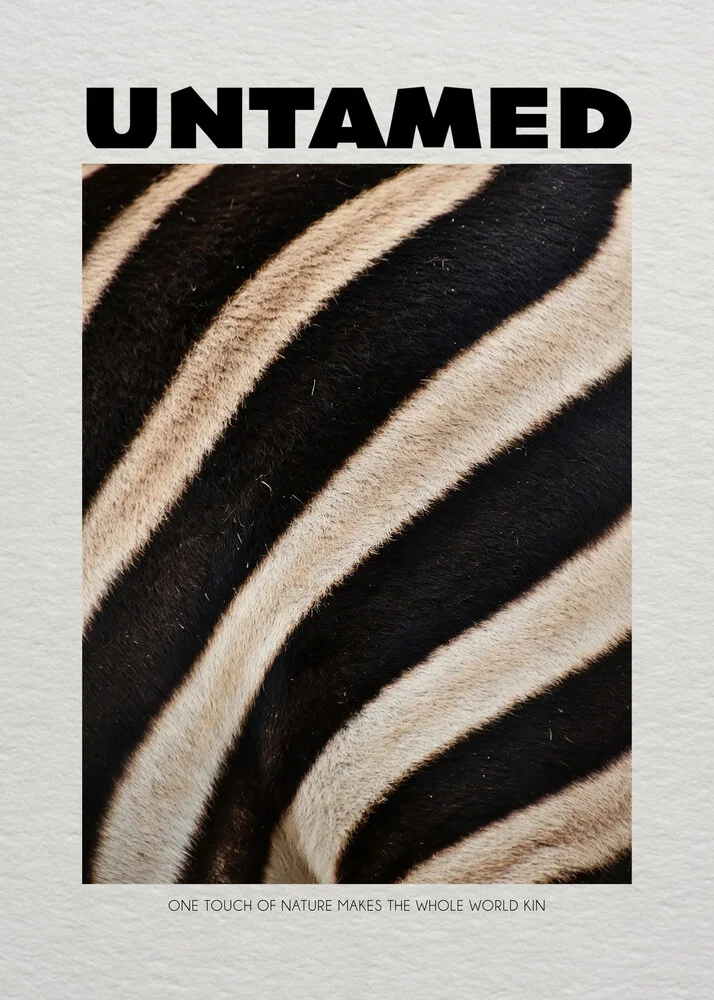 Wall art of a funny zebra illustrated in vibrant colors.