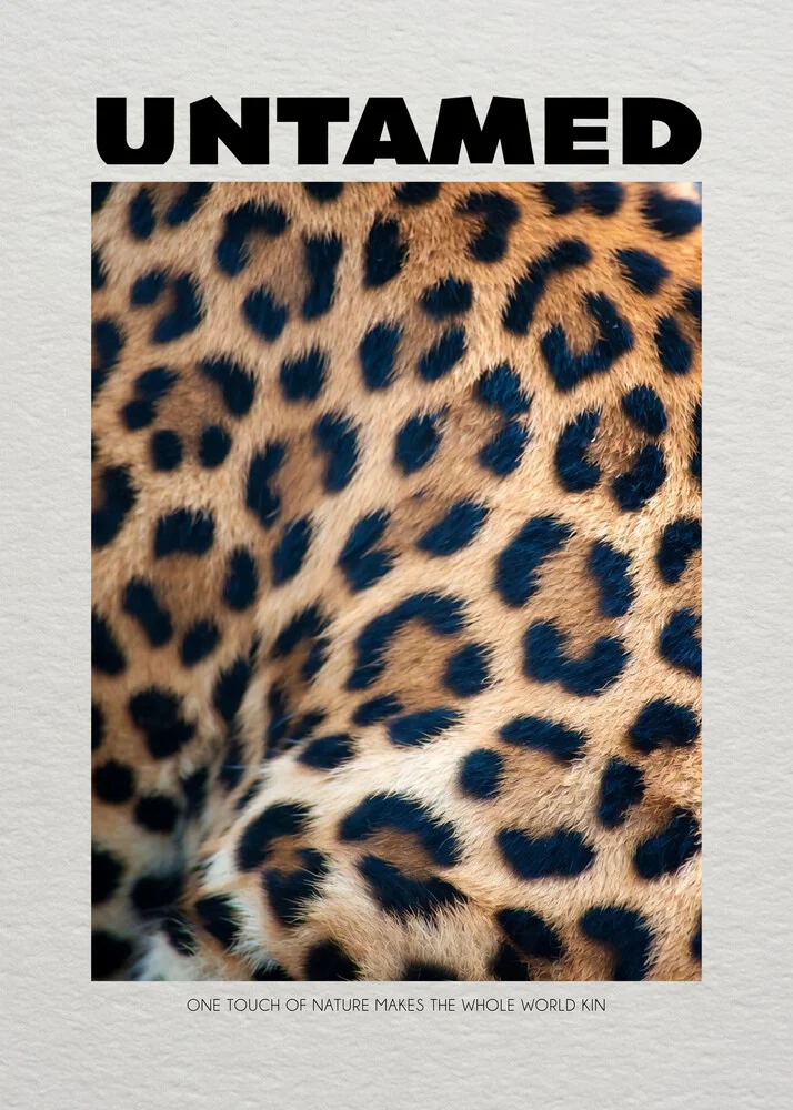 Wall art by Daniel Leo: a funny leopard in pop art style