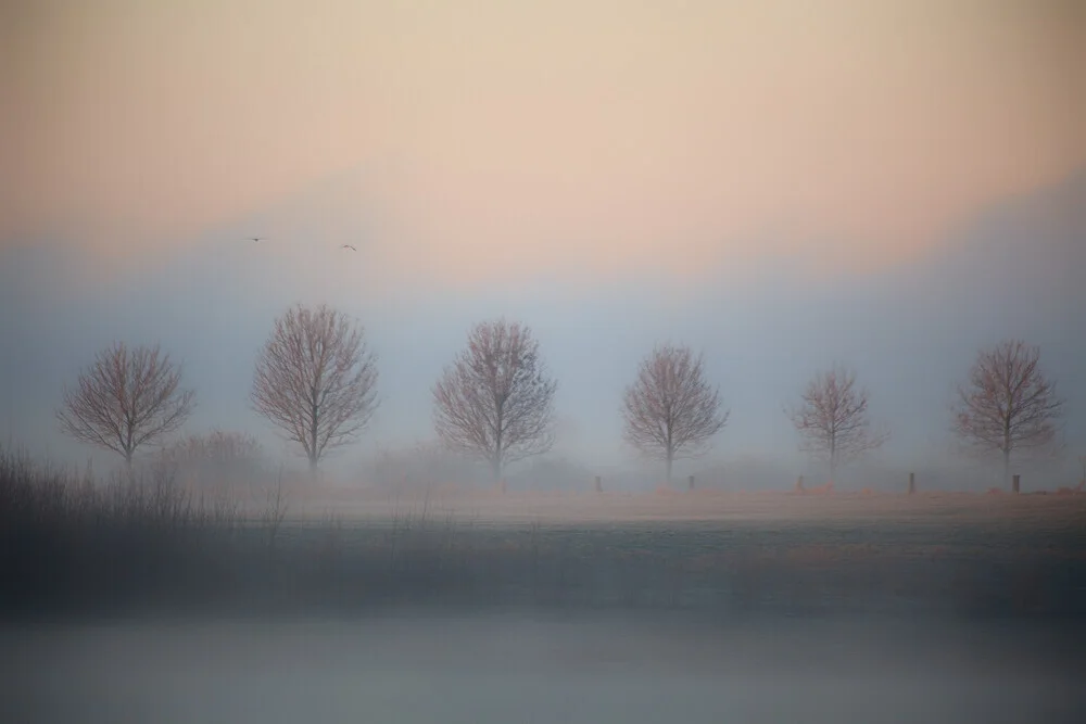 Fotokunst von Oliver Buchmann: mystische Landschaft in Nebel und Licht