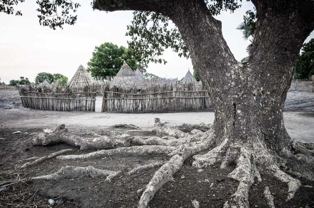 Village and tree - Fineart photography by Ulrich Kleiner