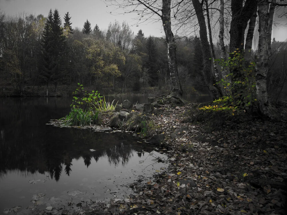 At the lake - Fineart photography by Michaela Ertelt