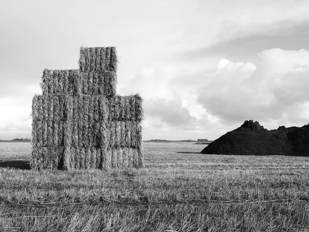 hay - fotokunst von Kay Block