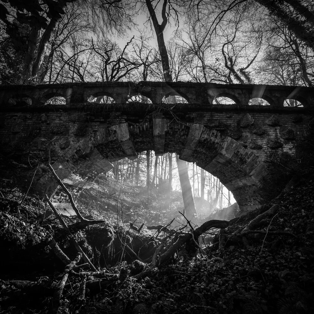 Burgbrücke - fotokunst von Michael Schaidler