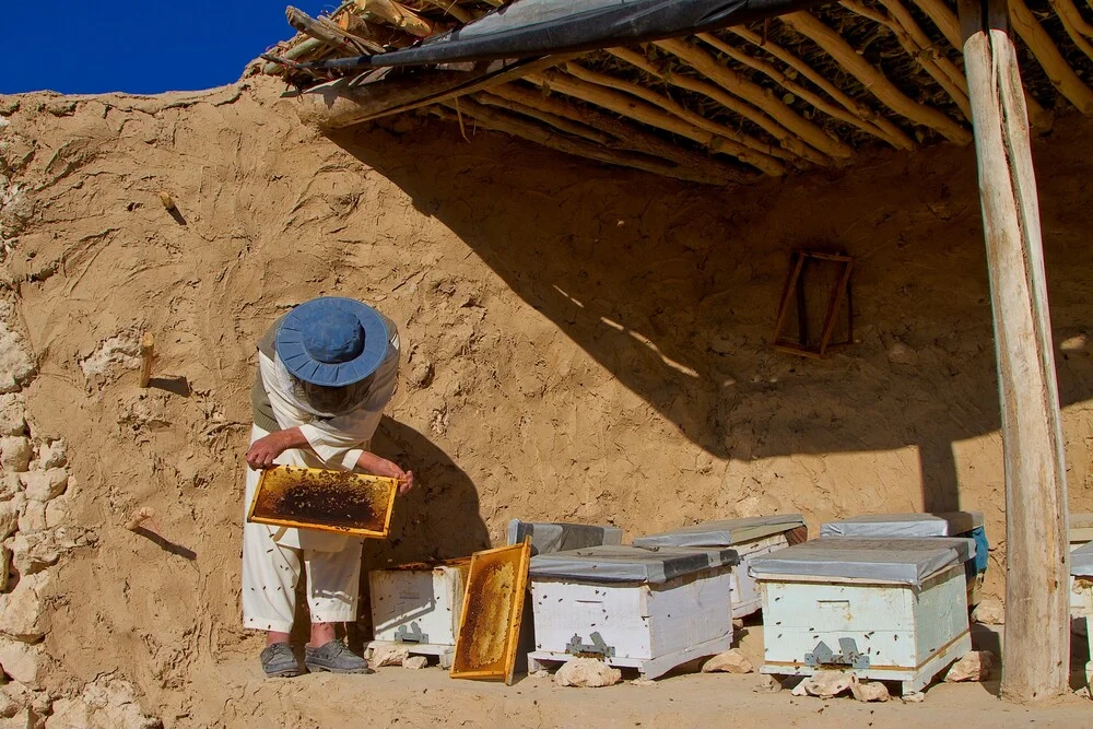 Honey making - Fineart photography by Rada Akbar