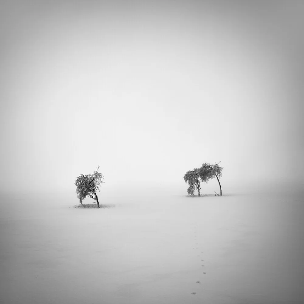 I + II - fotokunst von Martin Rak