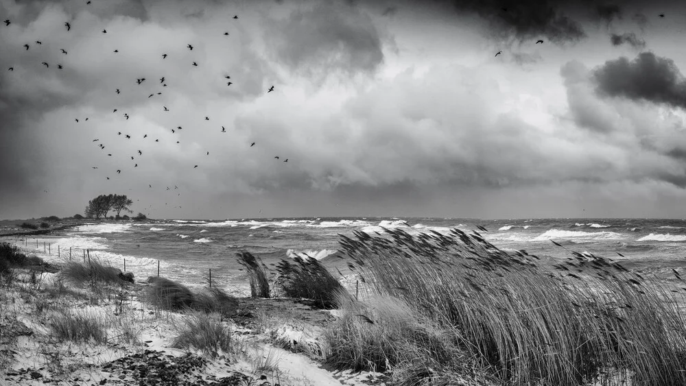 Winterstorm Baltic Sea, Wintersturm an der Ostsee - fotokunst von Dennis Wehrmann