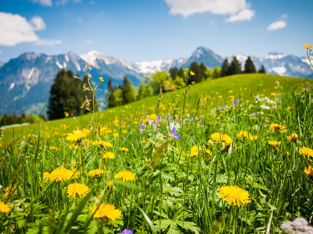 Im Allgäu - fotokunst von Johann Oswald