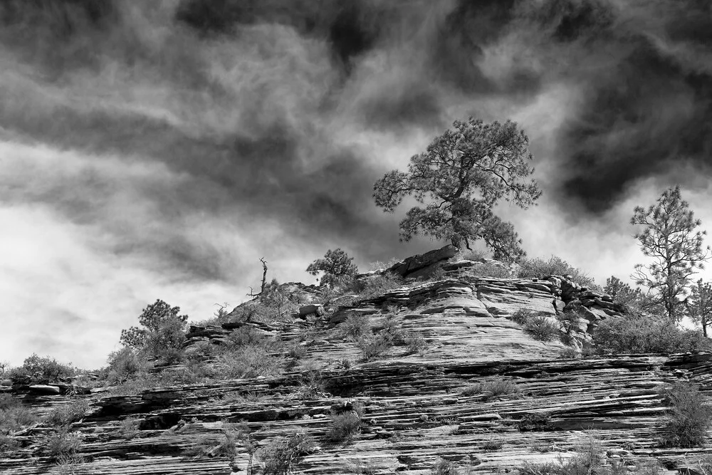 Angel's Landing - Zion National Park (USA) - fotokunst von Jörg Faißt