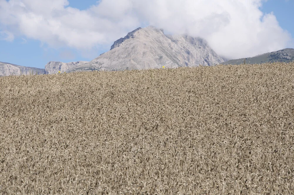 Alpes-de-Haute-Provence - fotokunst von Elsa Thorp