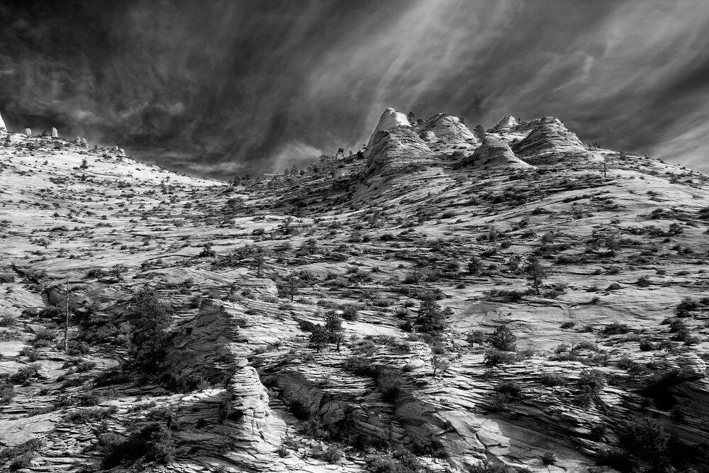 East Temple - Zion National Park - fotokunst von Jörg Faißt