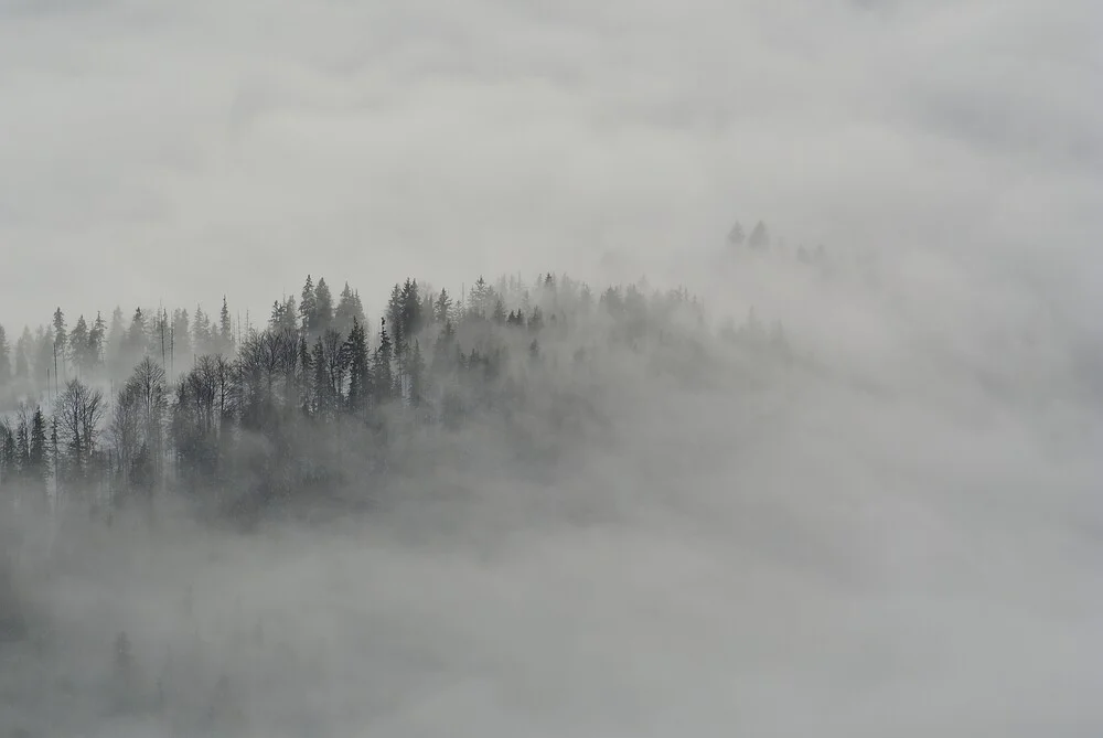 Der Nebel - fotokunst von Sascha Hoffmann-Wacker