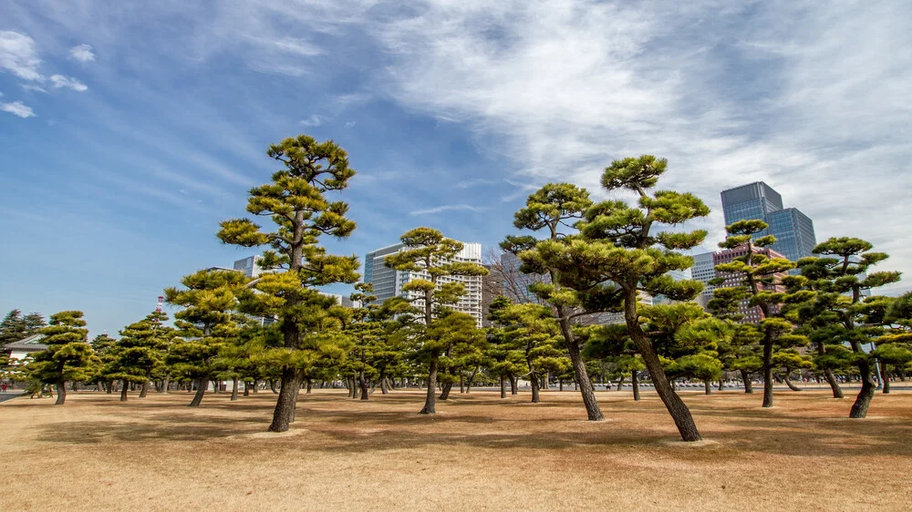 Marunouchi Skyline (Tokyo) - fotokunst von Jörg Faißt