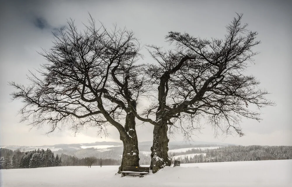 Solitär # 3 - fotokunst von Heiko Gerlicher