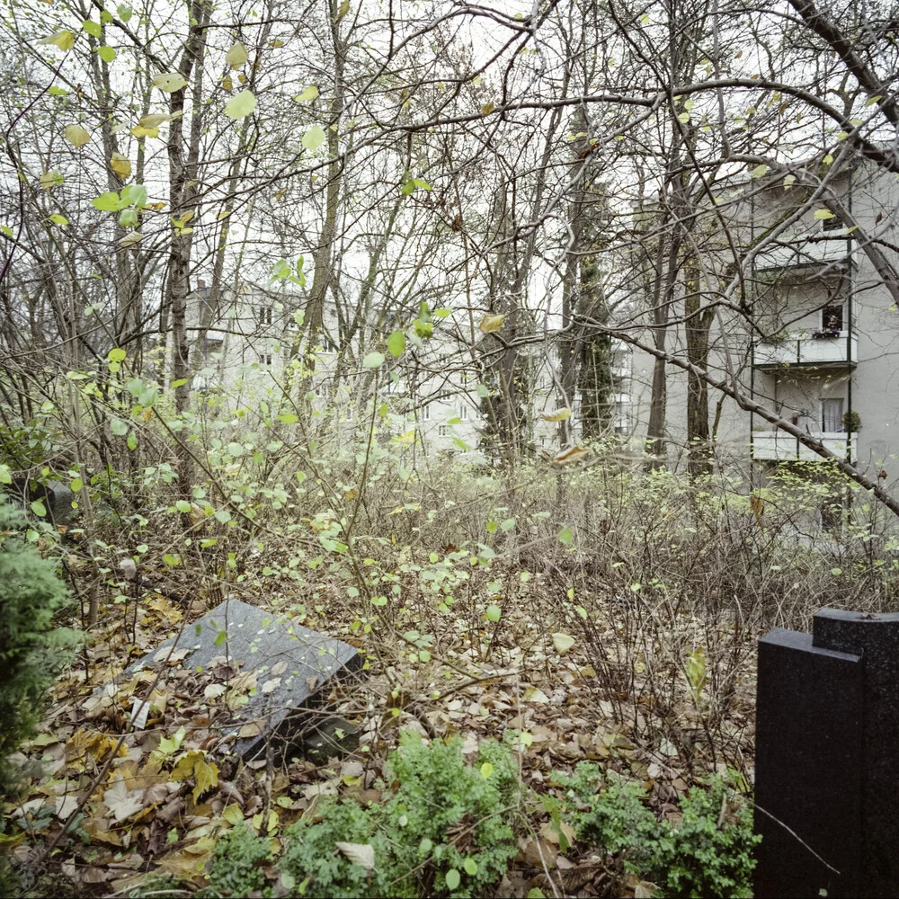 Friedhof Bergstraße, Berlin-Steglitz - fotokunst von Jost Galle