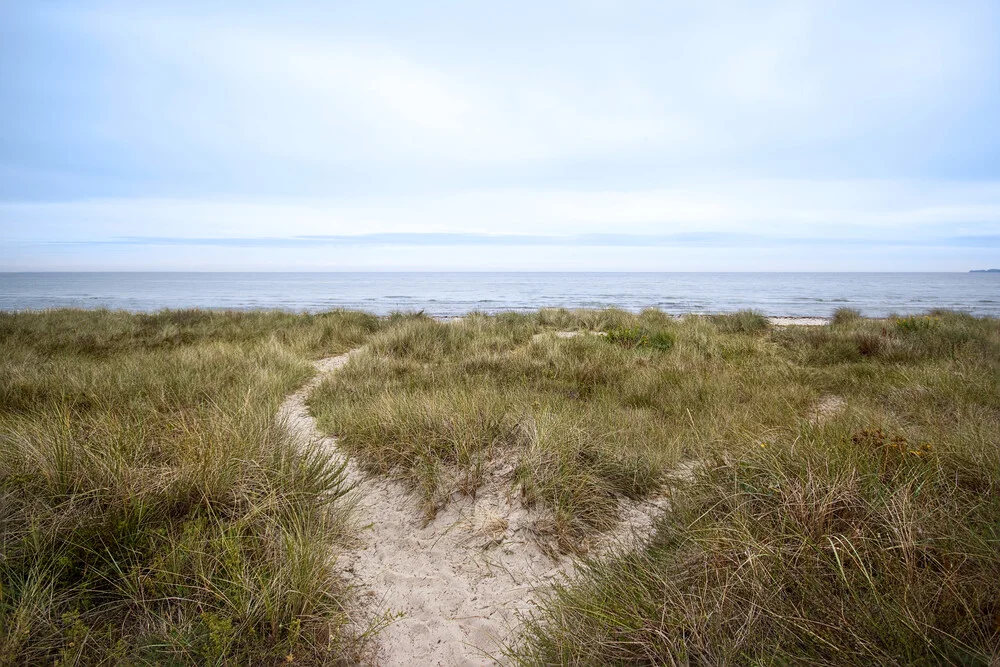 Denmark XXVII - fotokunst von Michael Schulz-dostal