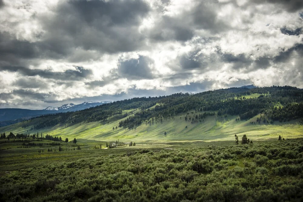 Yellowstone National Park #02 - fotokunst von Michael Stein