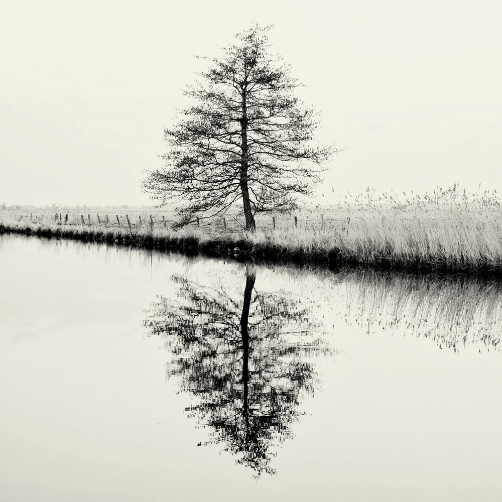 Baum #9 - fotokunst von J. Daniel Hunger