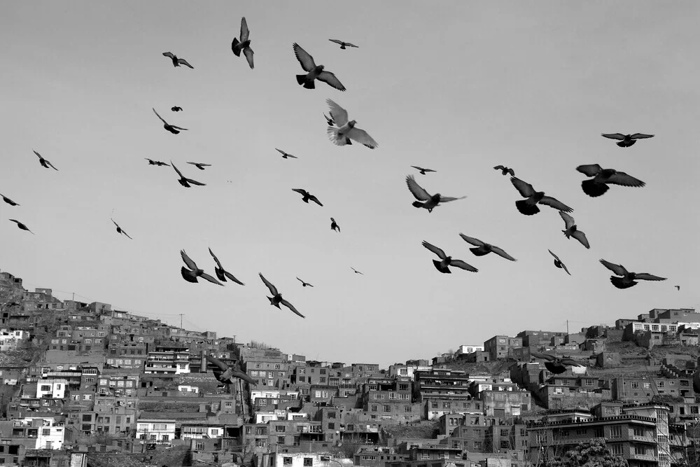 Freedom birds in Kabul - fotokunst von Christina Feldt