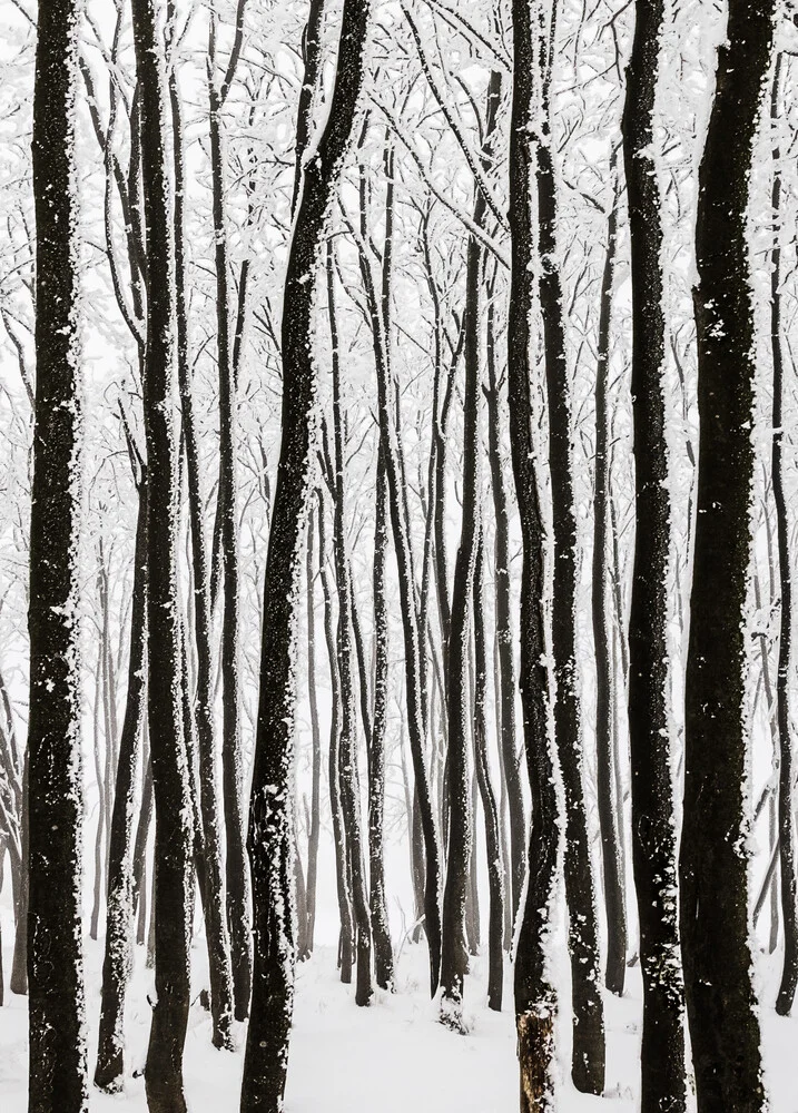 monochrome Eiszeit II - Fineart photography by Heiko Gerlicher