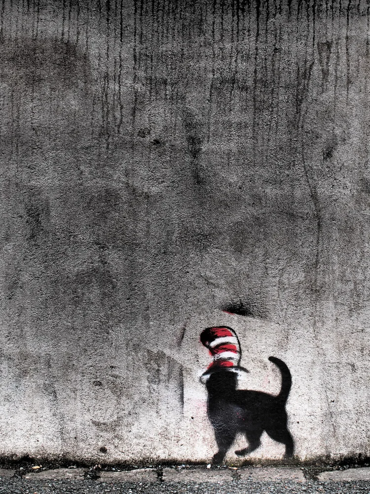 cat with hat - fotokunst von Kay Block