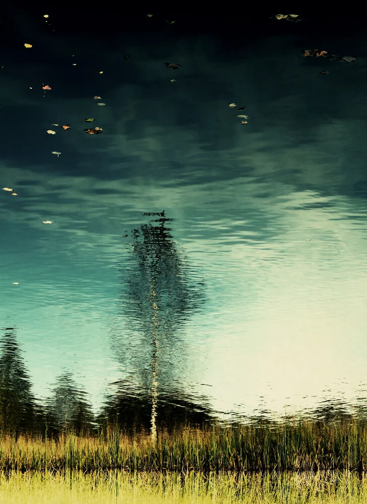 verkehrte welt - Fineart photography by Manuela Deigert