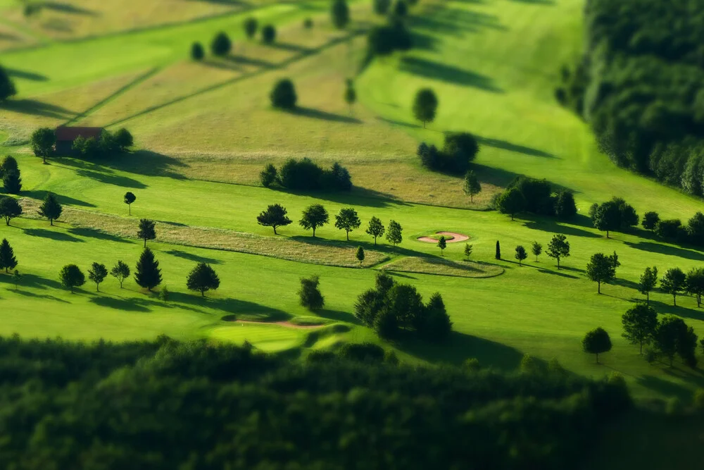 trees - fotokunst von Jochen Fischer