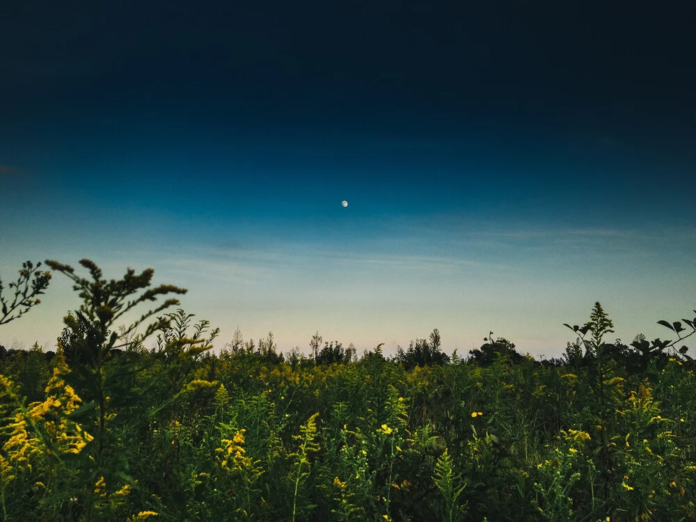 The Moon - Fineart photography by Greg Hogan