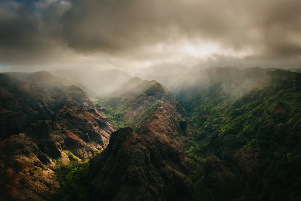 Waimea Canyon - fotokunst von Greg Hogan