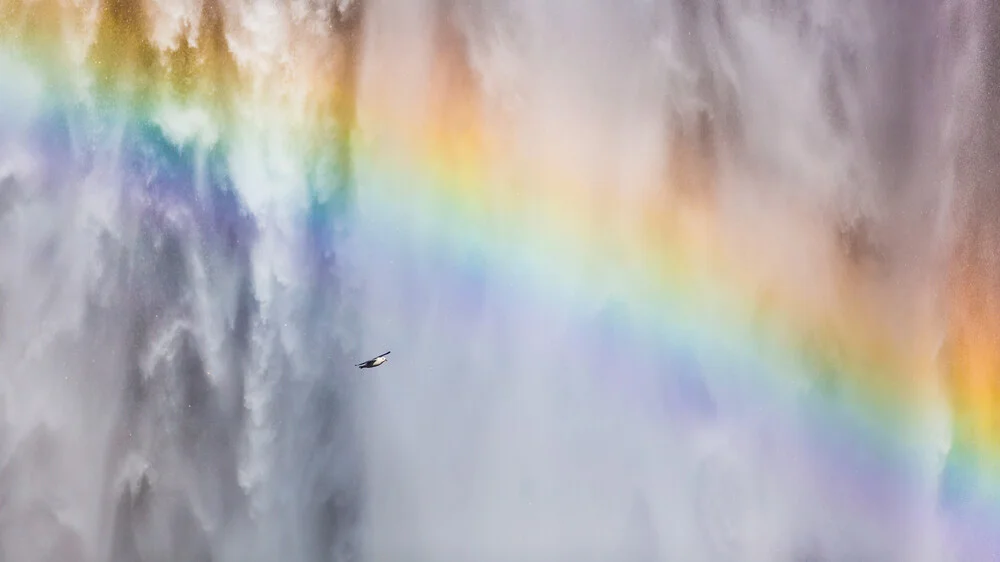 Under the rainbow - Fineart photography by Torsten Muehlbacher