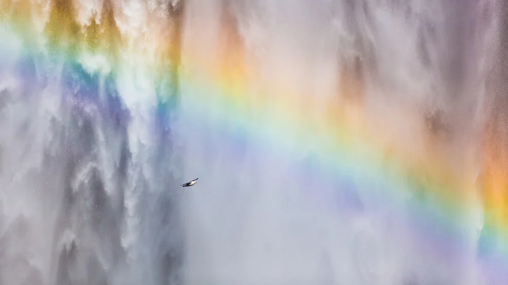 Unter dem Regenbogen - fotokunst von Torsten Muehlbacher