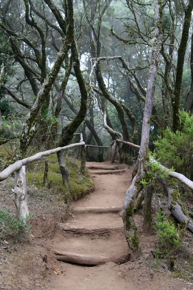 Gomera - fotokunst von Jens Berger