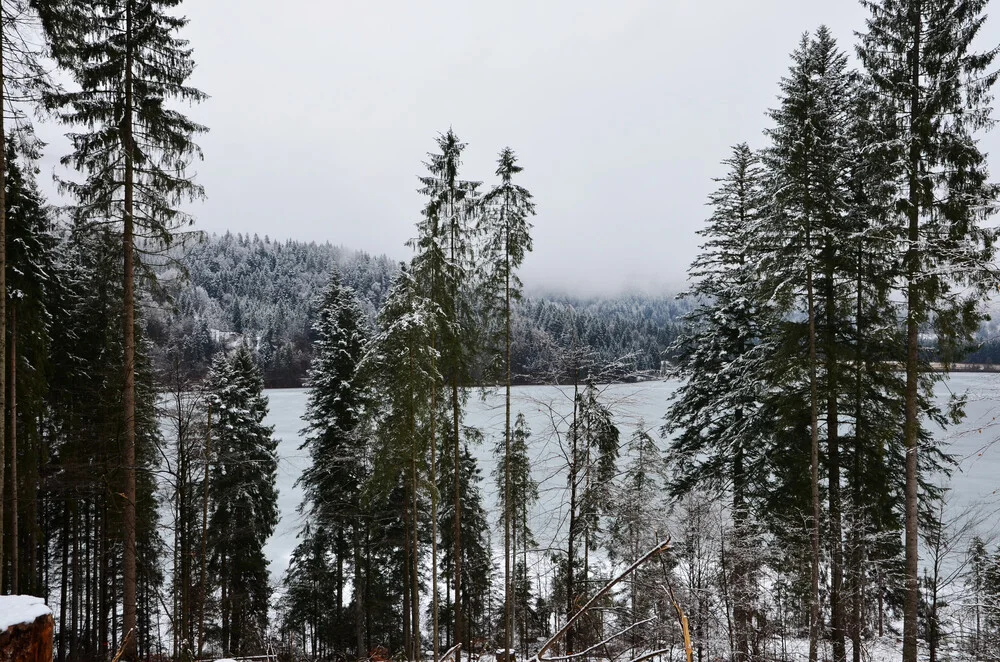 Winter at the lake - Fineart photography by Michael Brandone