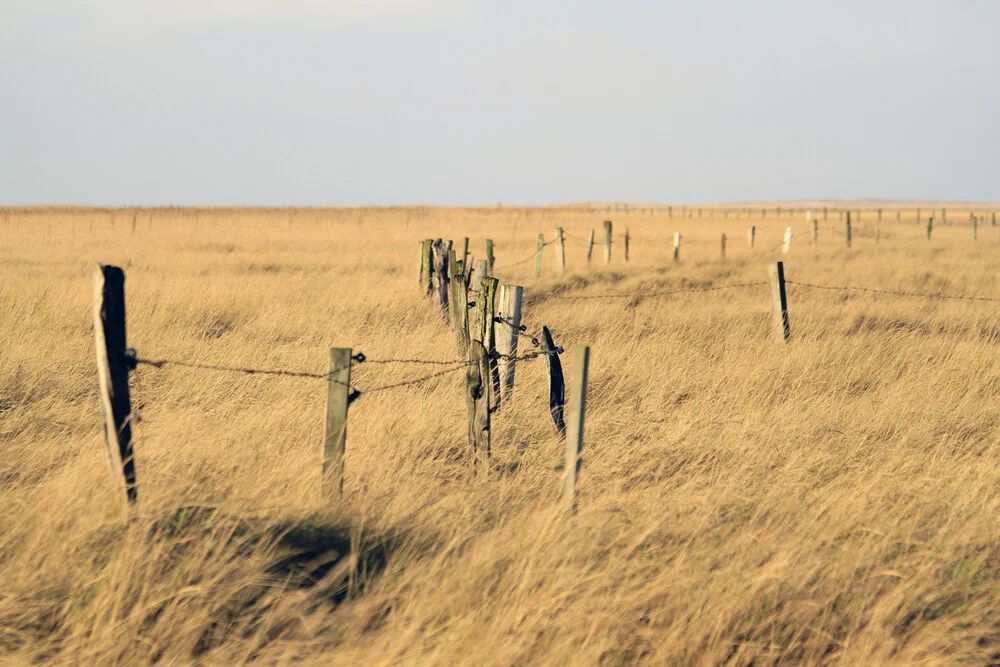 fen at German Coast - Fineart photography by Jens Berger