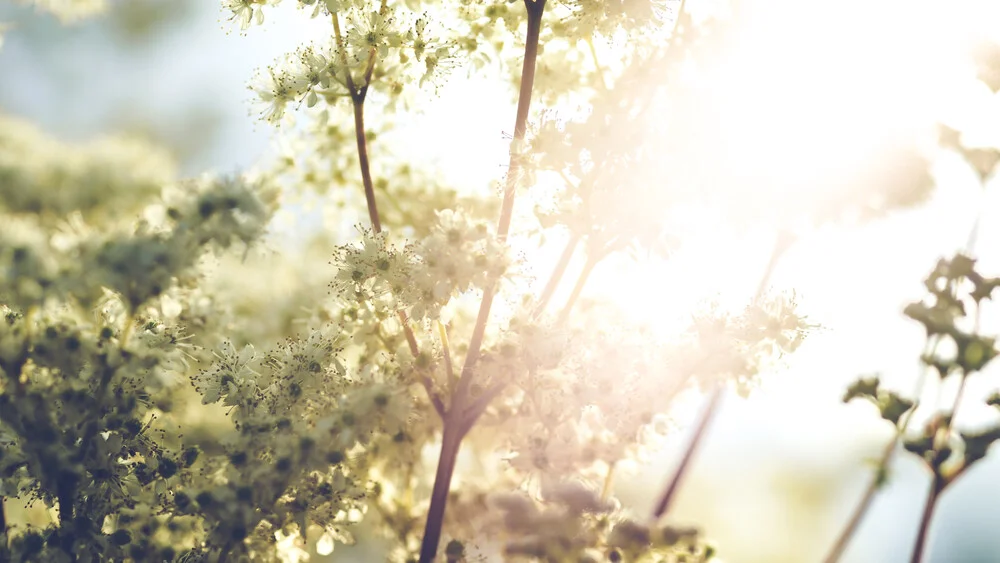 Summertime - fotokunst von Torsten Muehlbacher