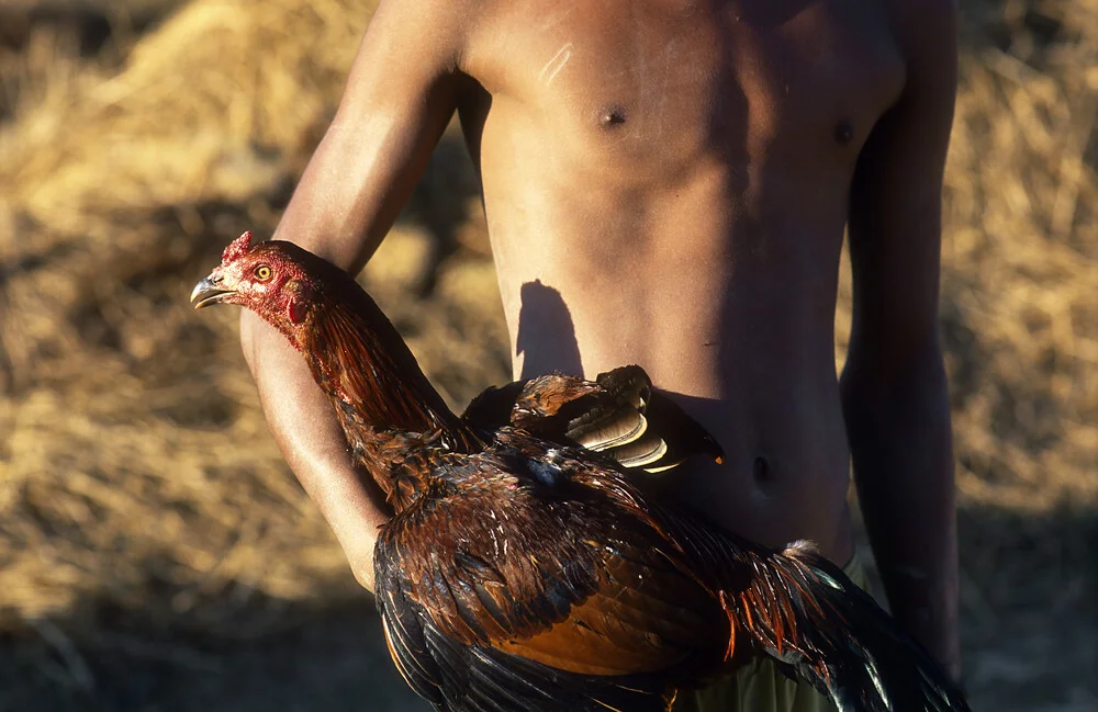 Strength and Serenity - fotokunst von Martin Seeliger