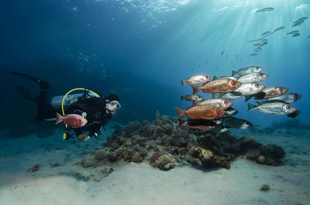 just diving - Fineart photography by Christian Schlamann