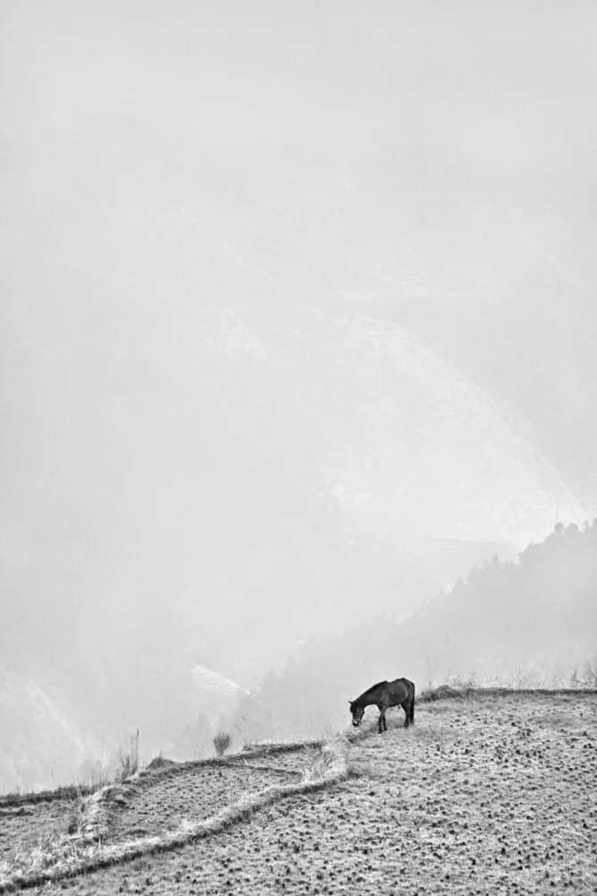 Stille - fotokunst von Victoria Knobloch