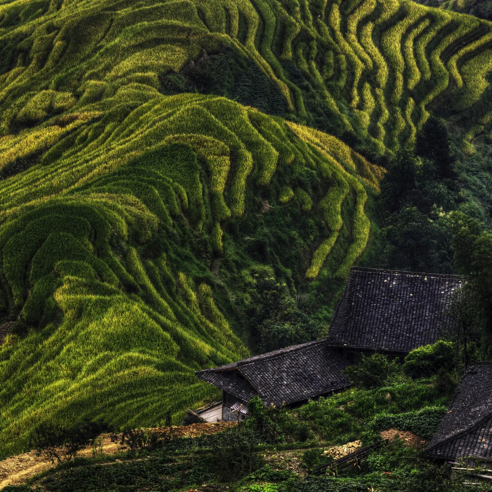 Many folds of her cloak - fotokunst von Regis Boileau