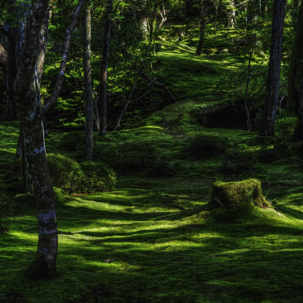 Tatami for leprechaun - Fineart photography by Regis Boileau