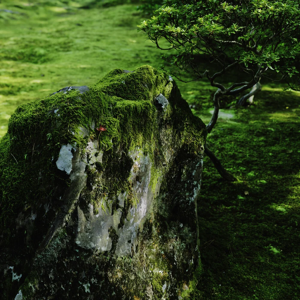 Ruby on malachite street - fotokunst von Regis Boileau