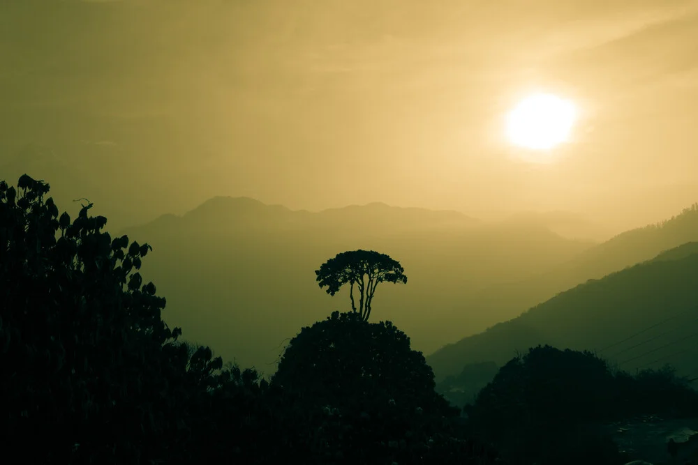 Lonely Tree - fotokunst von Tom Sabbadini