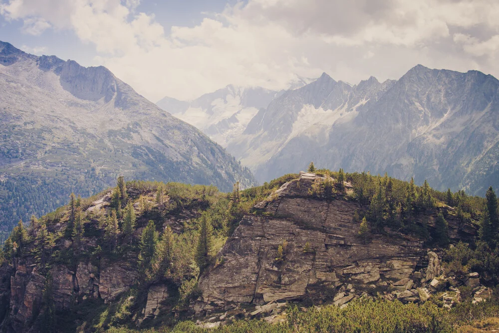 Into the Wild - fotokunst von Thomas Richter