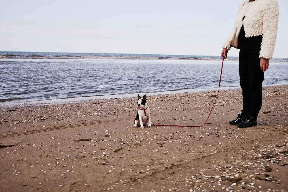 We live on the leash of our senses. - Fineart photography by Simon Bode