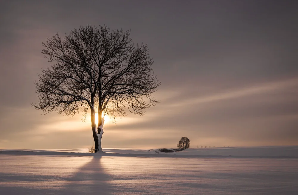 Ray Of Light - fotokunst von Heiko Gerlicher