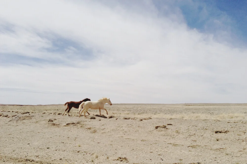 Horses Run in the Wild - Fineart photography by Kevin Russ