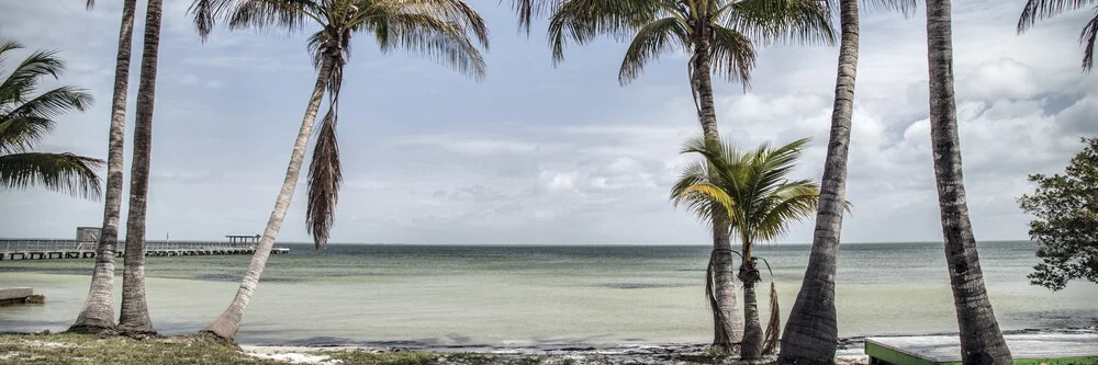 Florida XXX - fotokunst von Michael Schulz-dostal