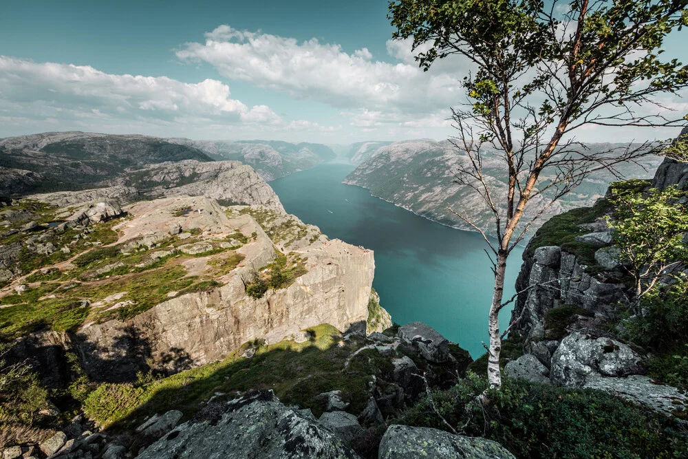 guardien of the Preikestolen - Fineart photography by Franz Sussbauer