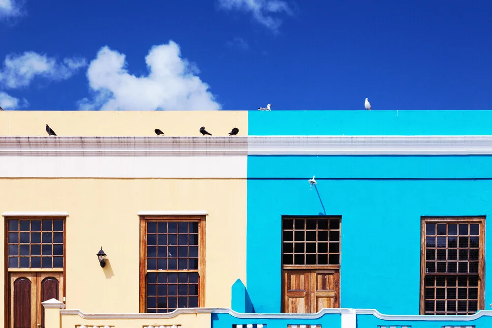 Doves in Bo-Kaap, Cape Town - fotokunst von Eva Stadler